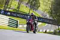 Lower Group Red Bikes